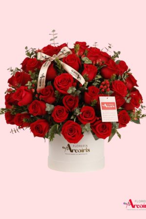 BOX RED FLOWERS