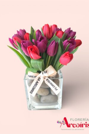 FLORERO PREMIUM
