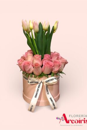 BOX PINK
