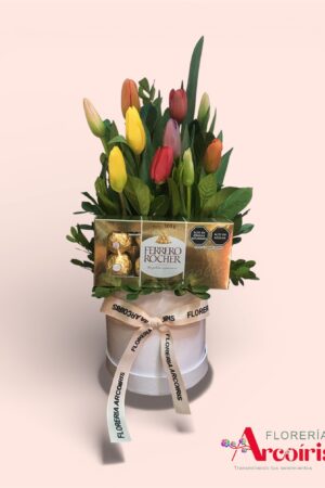 BOX - TULIP VARIADOS