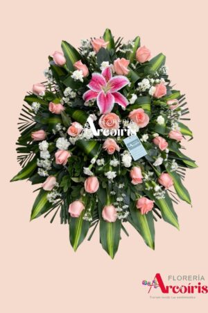 LAGRIMA DE PISO - ROSA Y CLAVEL