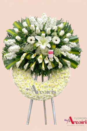 CORONA ALELYS