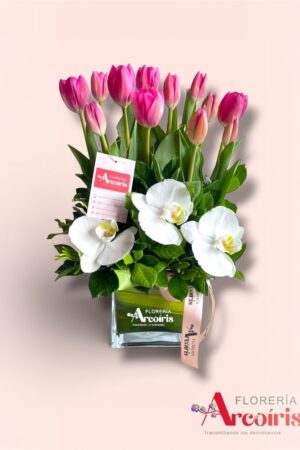 ARREGLO - NUBE DE ORQUIDEAS