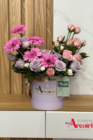 BOX - ENCANTO MALVA