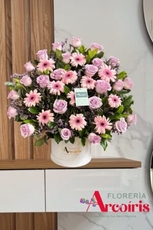 BOX - ABANICO MALVA
