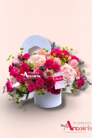 BOX - FUCSIA INTENSA