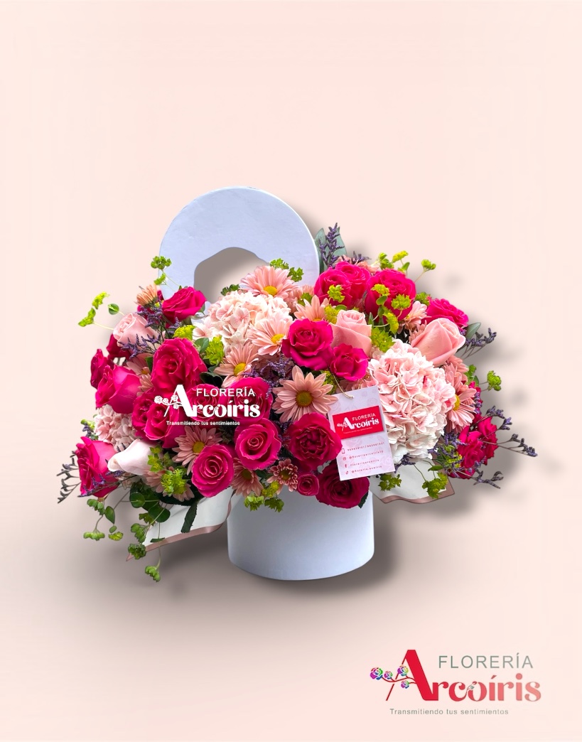 BOX - FUCSIA INTENSA