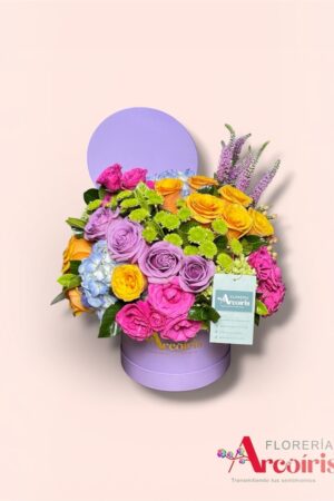 BOX - ALMA DE PRIMAVERA