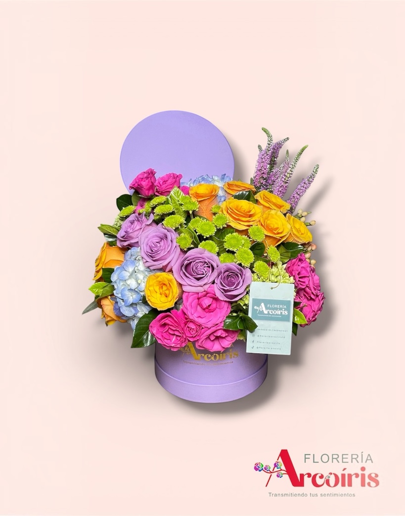 BOX - ALMA DE PRIMAVERA