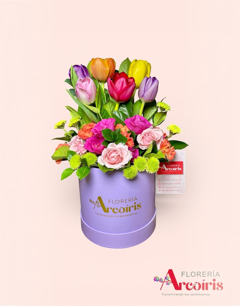 BOX - TULIP Y MINIS