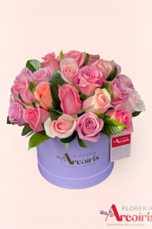 BOX - AMANECER DE ROSAS