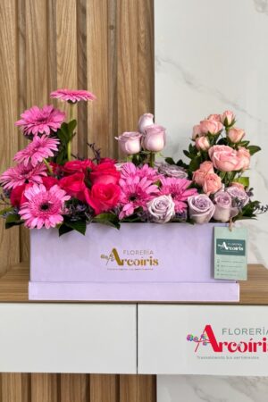 BOX - PETALOS VIVOS
