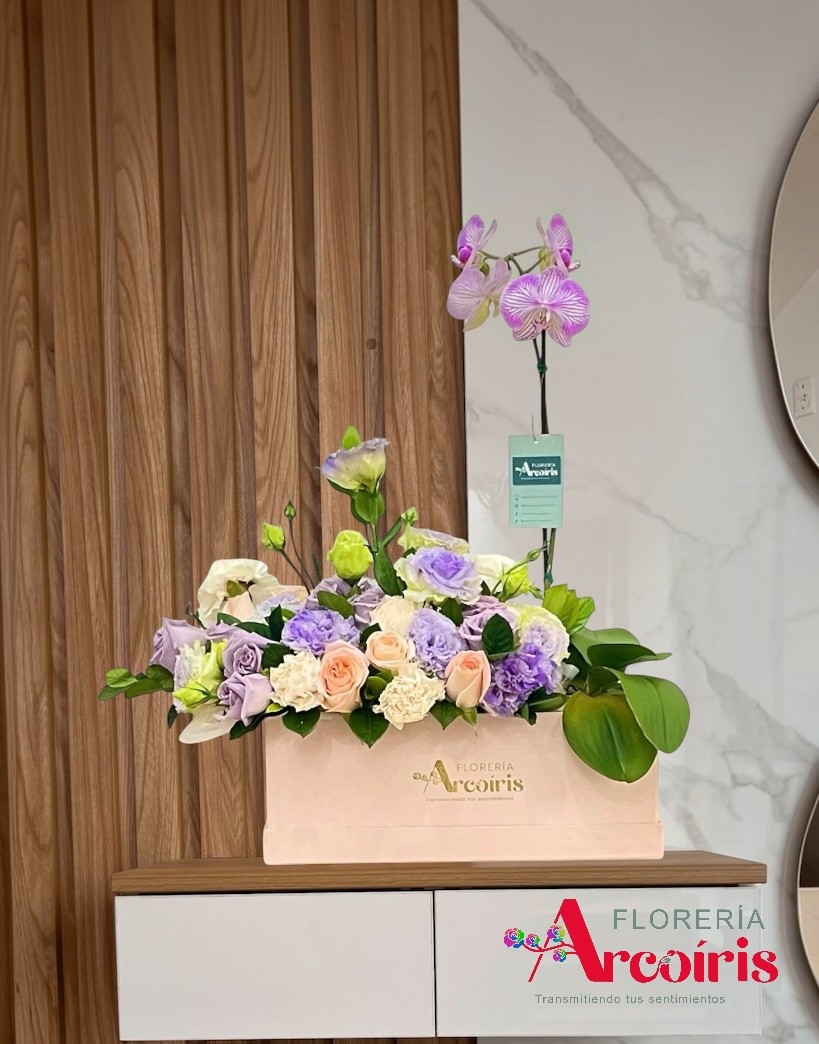 BOX - FLORES Y ORQUIDEA
